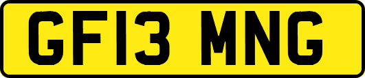 GF13MNG