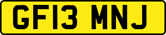 GF13MNJ