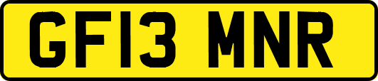 GF13MNR