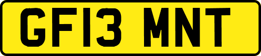 GF13MNT