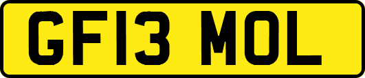 GF13MOL