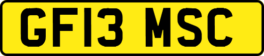 GF13MSC