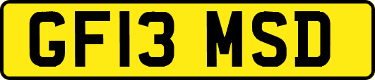 GF13MSD
