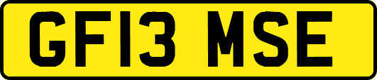 GF13MSE