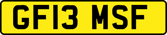 GF13MSF