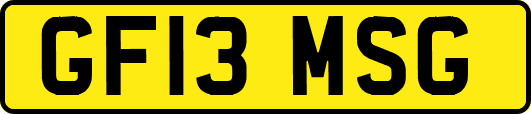 GF13MSG