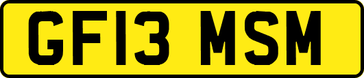 GF13MSM