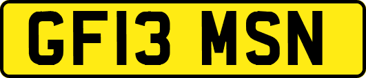 GF13MSN
