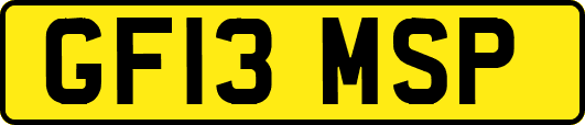 GF13MSP