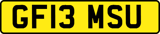 GF13MSU