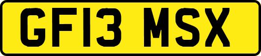 GF13MSX