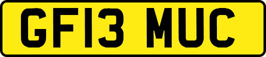 GF13MUC