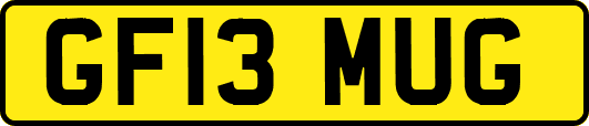 GF13MUG