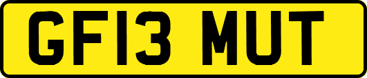 GF13MUT