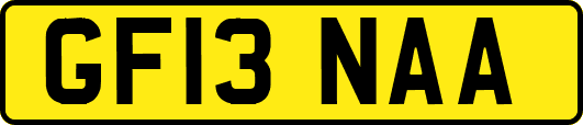 GF13NAA