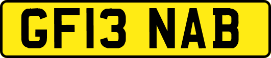 GF13NAB