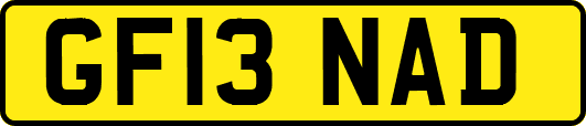 GF13NAD