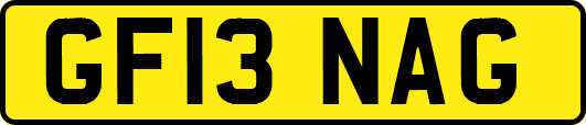 GF13NAG