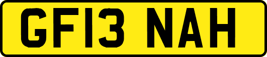 GF13NAH