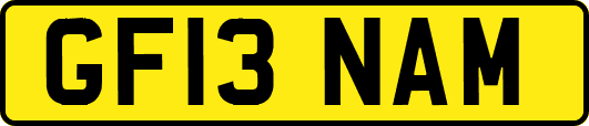 GF13NAM