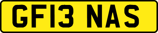 GF13NAS