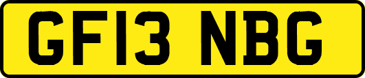 GF13NBG