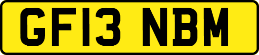 GF13NBM