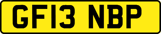 GF13NBP