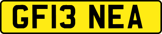 GF13NEA
