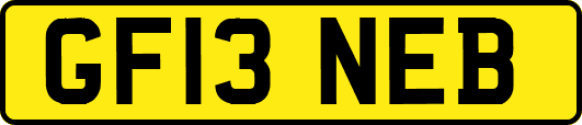 GF13NEB