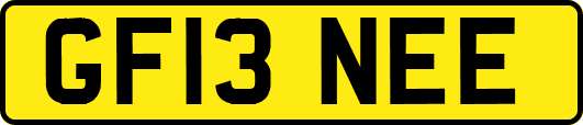 GF13NEE