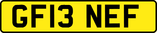 GF13NEF