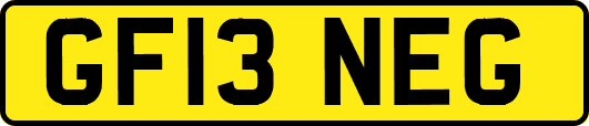 GF13NEG