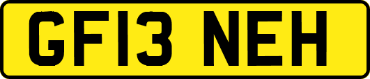 GF13NEH