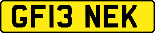 GF13NEK