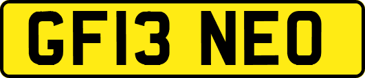 GF13NEO