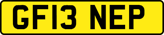 GF13NEP