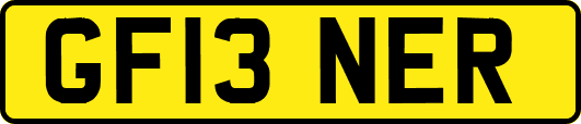 GF13NER