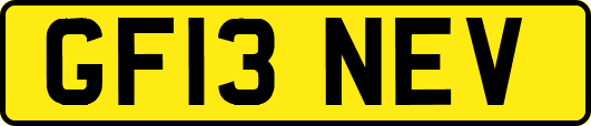 GF13NEV