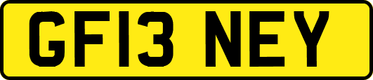 GF13NEY