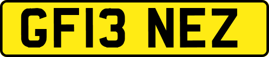 GF13NEZ