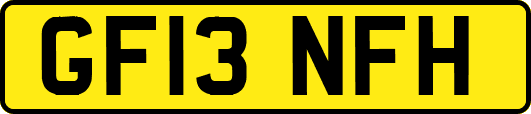 GF13NFH
