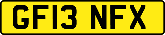 GF13NFX