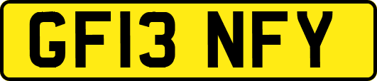 GF13NFY