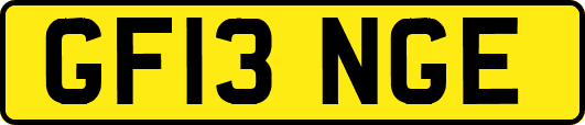 GF13NGE