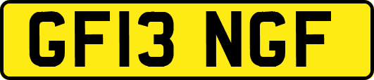 GF13NGF