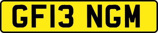 GF13NGM