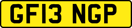 GF13NGP