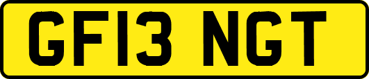 GF13NGT