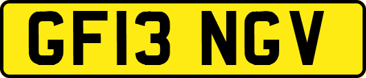GF13NGV